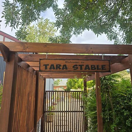 فيلا Littlehamptonفي Tara Stables المظهر الخارجي الصورة